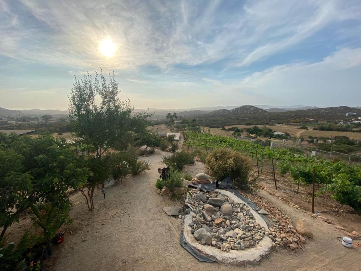 Chalet Nativo - Fabulous Terrace & Vineyard Apartamento Valle de Guadalupe Exterior foto