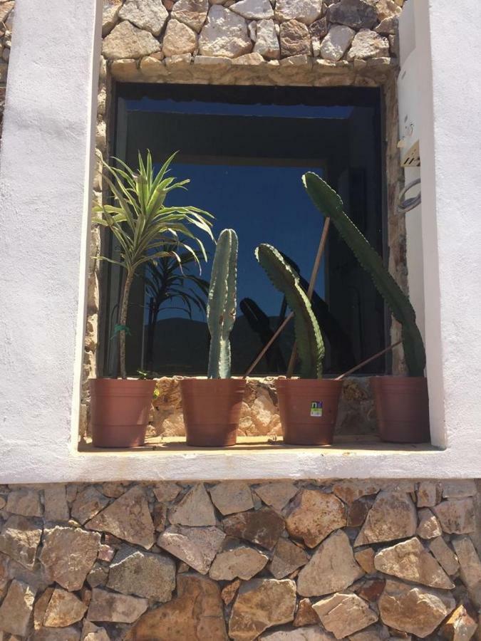 Chalet Nativo - Fabulous Terrace & Vineyard Apartamento Valle de Guadalupe Exterior foto